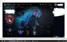 Conta nv 481, d4 solo/duo, 172 skins
