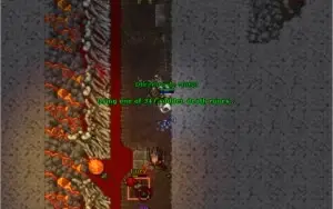 Elder Druid lvl 186