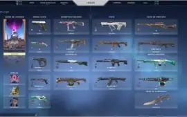 Valorant - Coleção ancifogo completa + algumas outras skins