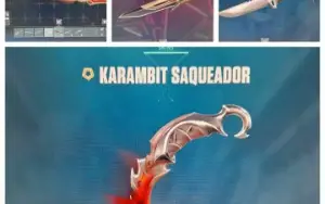Conta valorant full skins