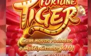 Vendo API com 10 jogos da PGSoft inclusos! SEM GGR
