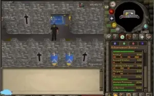 MAX combat, 1900TOTAL, 222QP , PET TOB, FULL HOUSE,RIGOR+AUG
