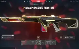 Conta Valorant Com Quase 3K Gastos