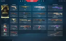 Conta Valorant Com Quase 3K Gastos