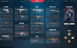 Conta De Valorant 1K Gasto