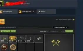2 Contas csgo medalhas de 10/5 anos 6kh d jogo sem prime