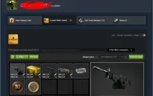 2 Contas csgo medalhas de 10/5 anos 6kh d jogo sem prime