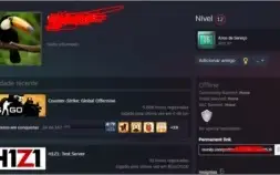 2 Contas csgo medalhas de 10/5 anos 6kh d jogo sem prime