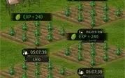 Conta Mafia City - Lvl 38, Svip 6 , Mansão 27