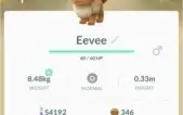 Eevee e Magikarp 100% IV Pokemon GO