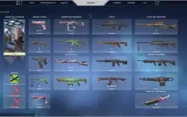 PLAT1 SKINS