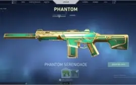PLAT1 SKINS