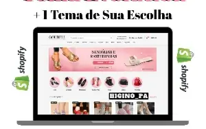 Tema Evolution + Aulas Script Checkout Atualizações e Bonus