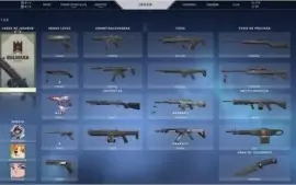 Conta Riot Games 2015 ( LOL + VAL )