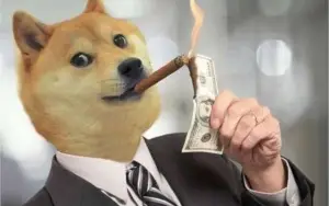 Faço elo job interessados chamar no zap 34 991785571