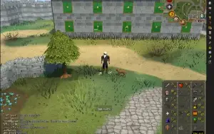 Conta Runescape Oldschool 99 Cooking