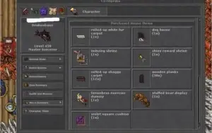 Master Sorcerer level 450/ ML 110