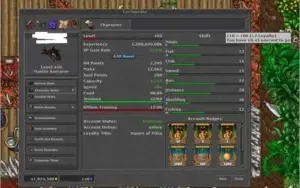 Master Sorcerer level 450/ ML 110