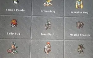 EK 510+ Skill 124 NON PVP CELEBRA