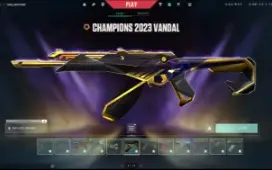 Conta Valorant - Lvl 300+ (6K Em Skins)