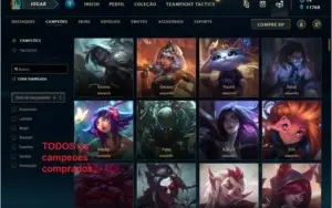 ex mestre, beta skins