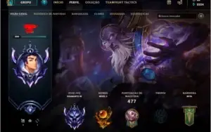 Conta LOL d4 com 228 skins e 325 icones