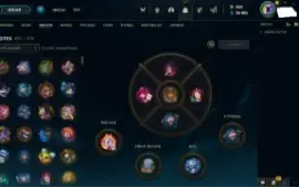 Conta LOL, 325 skins
