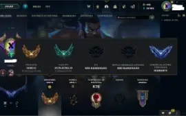 Conta LOL, 325 skins