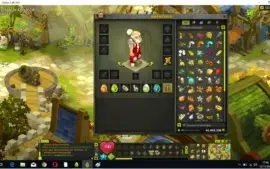 Conta dofus mais itens e kamas