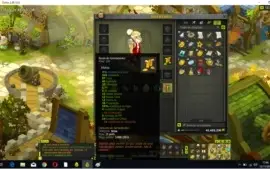 Conta dofus mais itens e kamas