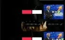 GRUPO DE SINAIS BLAZE VITALÍCIO (BOT DE BRINDE)