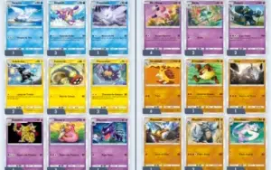 Pokemon tcg POKET