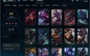 Borda D5 - 88 SKINS (BARATA) - Conta antiga