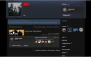 Conta de CSGO, Medalha 2016, Operação Fogo selvagem, Aguia 2