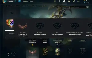 Conta bronze 2 com 23 Champs e 3 Skins
