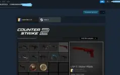 Steam 19 Anos