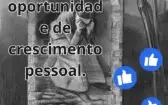 pack de videos pra monetizar canal