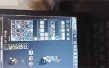Conta wakfu 4 char 3 char full mt cosmetic itens