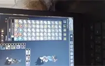 Conta wakfu 4 char 3 char full mt cosmetic itens