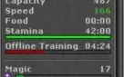 MAGE LVL 60 SKILADO ML 64 - RP LVL 37 SKILL 78/67 ML 17