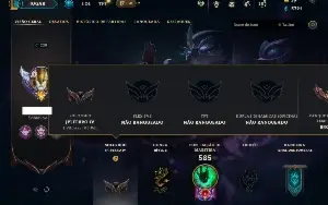 Ferro 4 com TODOS os champs e 104 Skins