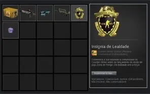 CONTA STEAM CSGO PRIME COM MEDALHA DE LEALDADE