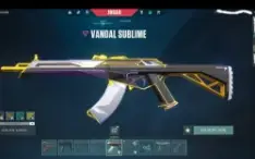 Vendo Conta valorant com skin