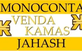 Kamas no servidor jahash “monoconta”