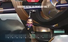 CONTA C/ SKIN DE TDS ARMAS (SUBLIME, SAQUEADOR, ONI, LEQUE)