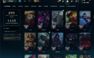 Mestre com TODOS os Champs e 238 Skins ( SUP / ADC )