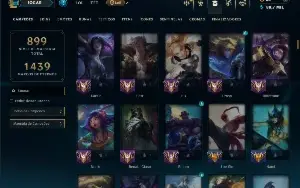 Mestre com TODOS os Champs e 238 Skins ( SUP / ADC )