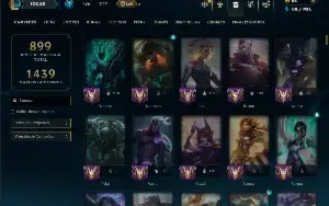 Mestre com TODOS os Champs e 238 Skins ( SUP / ADC )