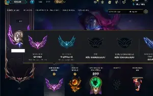 Mestre com TODOS os Champs e 238 Skins ( SUP / ADC )