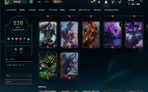 Mestre com TODOS os Champs e 238 Skins ( SUP / ADC )